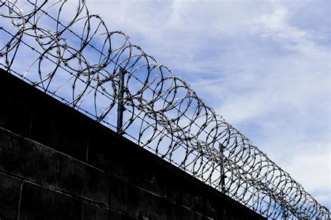 Razor Wire Vs Barbed Wire The Most Detailed Comparison Dongfu Wire Mesh