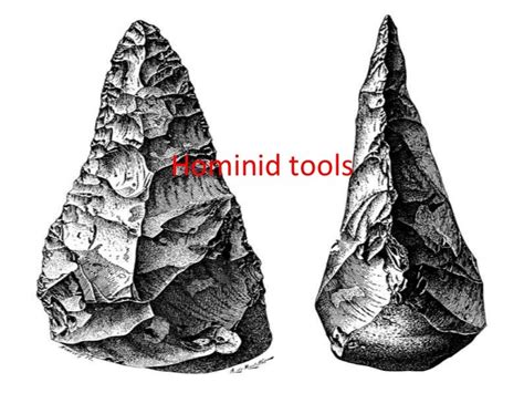 Hominid tools