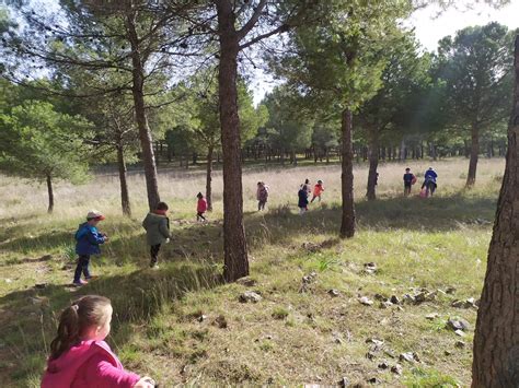 Salida Al Entorno Semana A Febrero Ceip San Juan