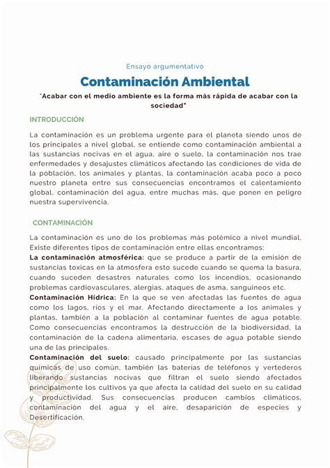 Contaminaci N Ambiental Contaminaci N Ambiental Ensayo Argumentativo