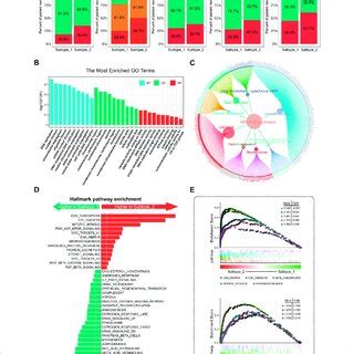 Clinical Significance And Molecular Characteristics Of Csg Patterns Of