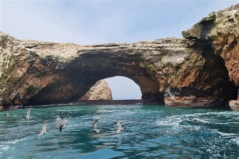 Tripadvisor Ganzt Gige Private Tour Zu Den Ballestas Inseln Lima Peru