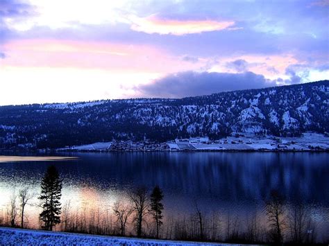 Shimmering Wood Lake Photograph By Will Borden Fine Art America