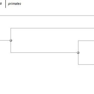 Consensus Neighbor Joining NJ Tree Based On The Amino Acid Sequences