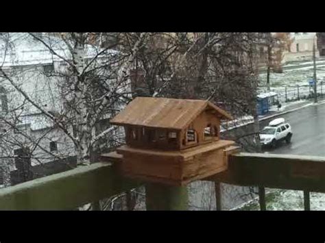 антиголубиная кормушка - YouTube