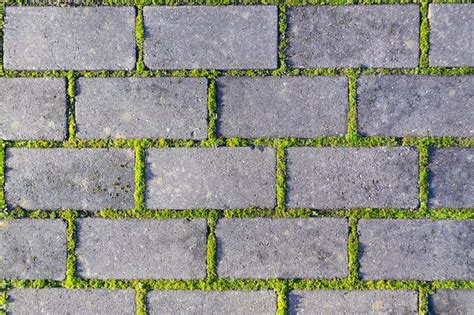 Grass Pavement Texture