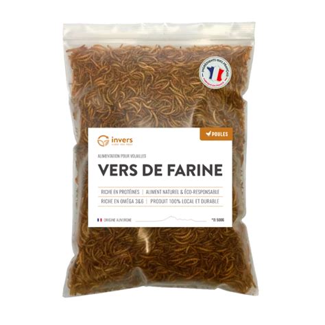 Vers de farine déshydratés INVERS La boutique