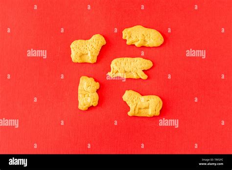 Animal Crackers Hi Res Stock Photography And Images Alamy