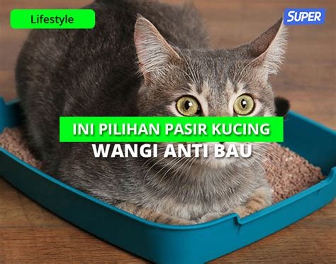 10 Rekomendasi Pasir Kucing Wangi Yang Bagus Anti Bau