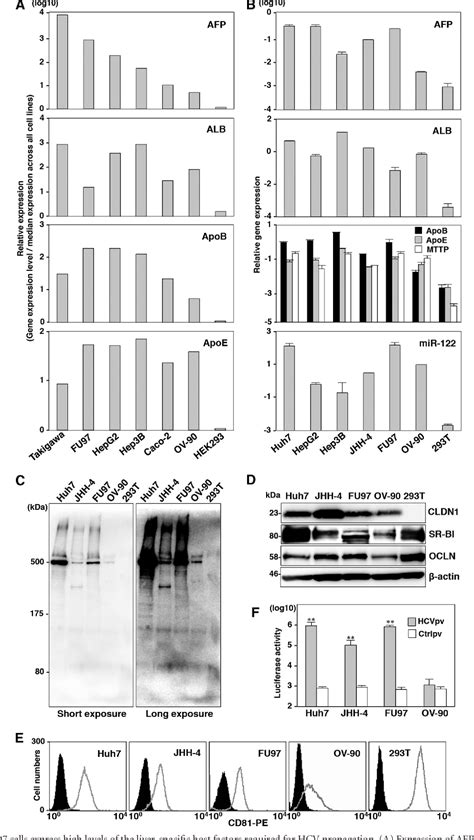 Figure 1 From Novel Permissive Cell Lines For A Complete Propagation Of