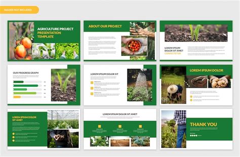 Agriculture Project Presentation And Farming Slider Template Premium