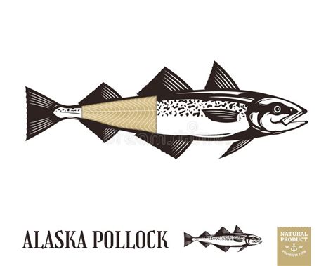 Alaska Pollock, Mintai Fish Jumping Out of Water Illustration Isolate ...