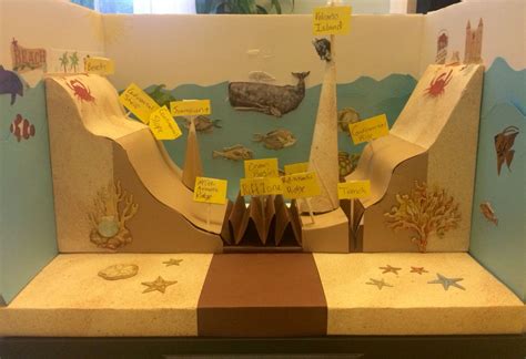 5th Grade Ocean Floor Project Science Fair Projects Ocean Projects