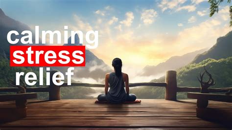 Calming Stress Relief Guided Meditation Youtube