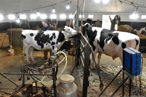 Hoy abre sus puertas la Rural para una nueva edición de la Expo Feria