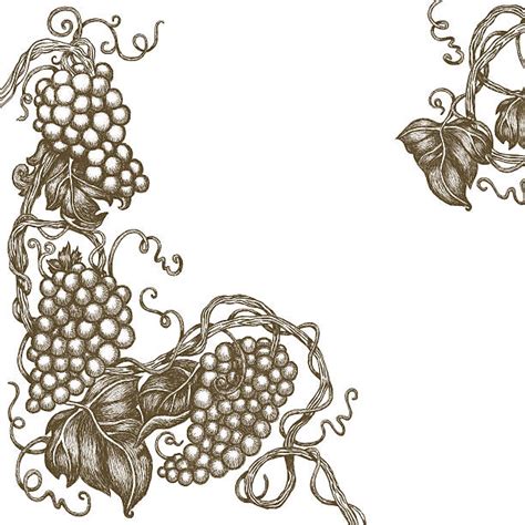 Grape Vine Border Vector