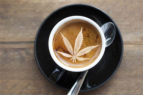 Cannabis-infused Coffee Recipe - How to make this delicacy? | Olivastu