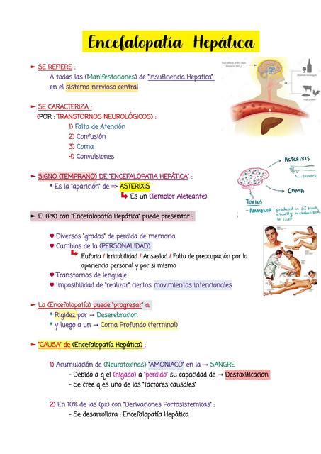 Encefalopat A Hep Tica Apuntes Med Udocz