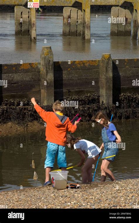 Children Crabbing In Walberswick Hi Res Stock Photography And Images