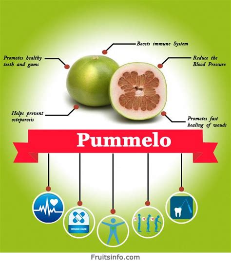 Pummelo Exotic Fruit Pummelo Fruit Types Benefits History Of