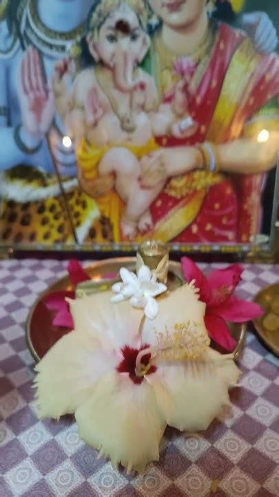 31 May 2024 Om Namah Shivaya 🕉️ Om Ganapati 🕉️ Daily Pooja With Parijata Flowers🌸trendingshorts