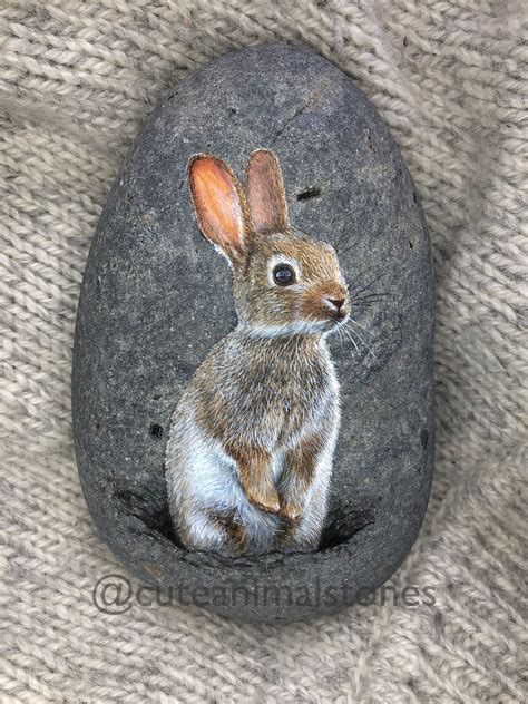 Painted Stone Rabbit Stone Painting Cute Animals Stone Rabbit