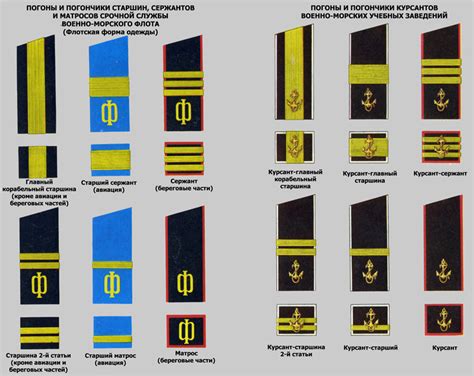 Погоны старшины российской армии нового образца - Фото подборки 3