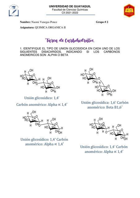 Carbohidratos El Rincón Médico uDocz