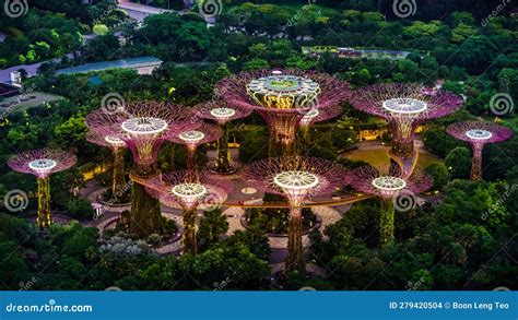 Aerial View Of Gardens By The Bay Supertrees At Marina Bay Singapore