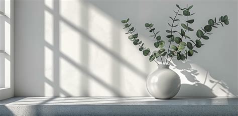 vase  plant  ledge  stock photo  vecteezy