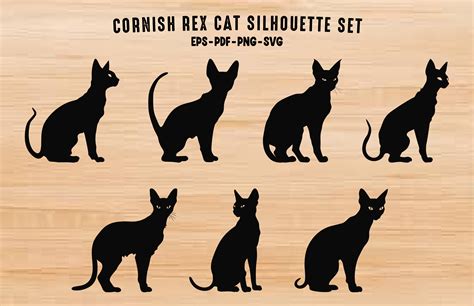 Cornish Rex Cat Silhouettes Vector Set Graphic By Gfxexpertteam