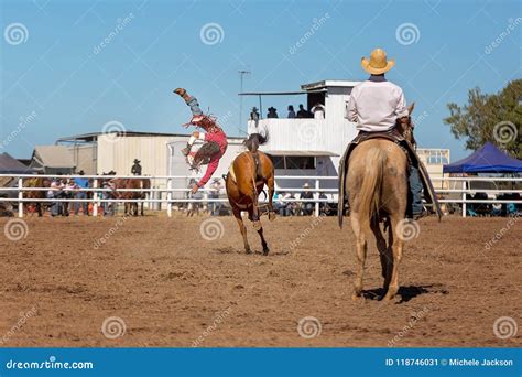 Bareback Bucking Bronc Riding At Country Rodeo Stock Image Image Of