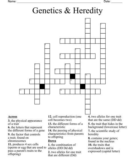 Genetics Heredity Crossword Wordmint