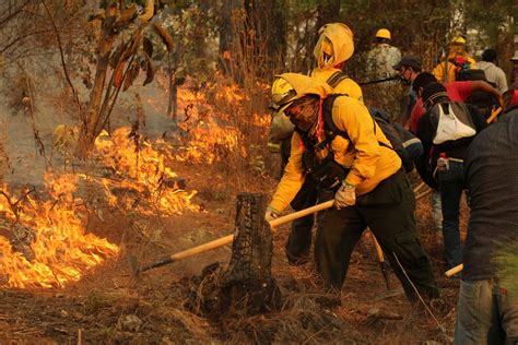 La delincuencia incendia al país van más de 475 mil hectáreas en 2023