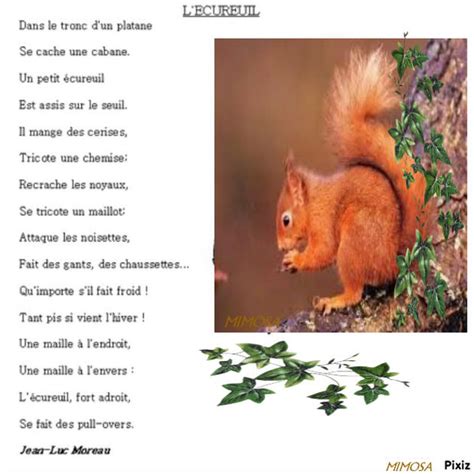 Poeme L Ecureuil