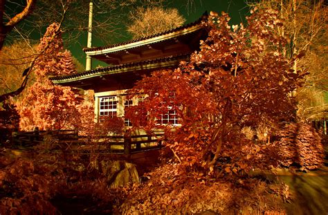 Japanese Garden Leverkusen Hermann Kl Flickr