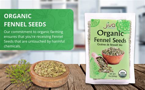 Amazon Jiva Organic Fennel Seeds Oz Bag Non Gmo Certified