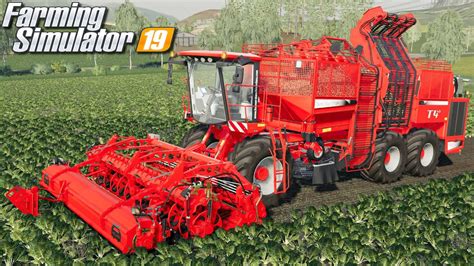 Zbieranie Burak W Farming Simulator Youtube