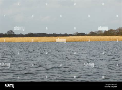 Hickling Broad Norfolk Stock Photo - Alamy