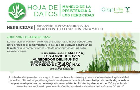 AgroAvances Noticias