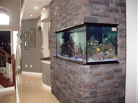 All You Need To Know About Wall Aquarium In House