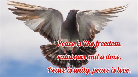 Beautiful English Poem On World Peace Day 2022 Theme End Racism Build