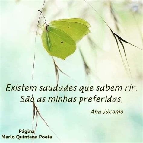 Pin De Inamar Pestana Em Pin Frases Sobre Verdade Frases