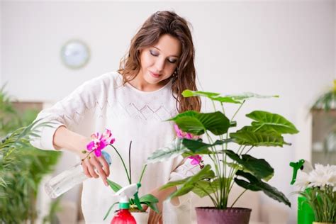 Premium Photo | Young woman looking after plants at home