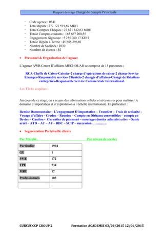 Rapport De Stage Centre D Affaire AWB PDF