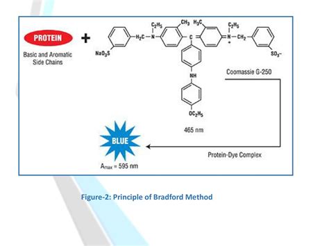 Spectrophotometric Methods For Determination Of Proteins Concentration