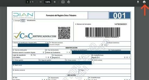 Descargar E Imprimir El Certificado Rut En L Nea