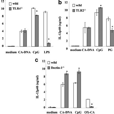 Role Of Manosyl Residues In The Activation Of BM DCs BM DCs Were