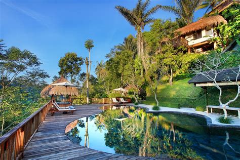 Amazing Hotels For A Relaxing Jungle Retreat