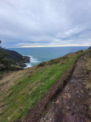 Best 10 Hikes And Trails In Cape Perpetua Scenic Area Alltrails